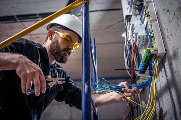 Best Local Electrician Companies  in Elbow Lake, MN
